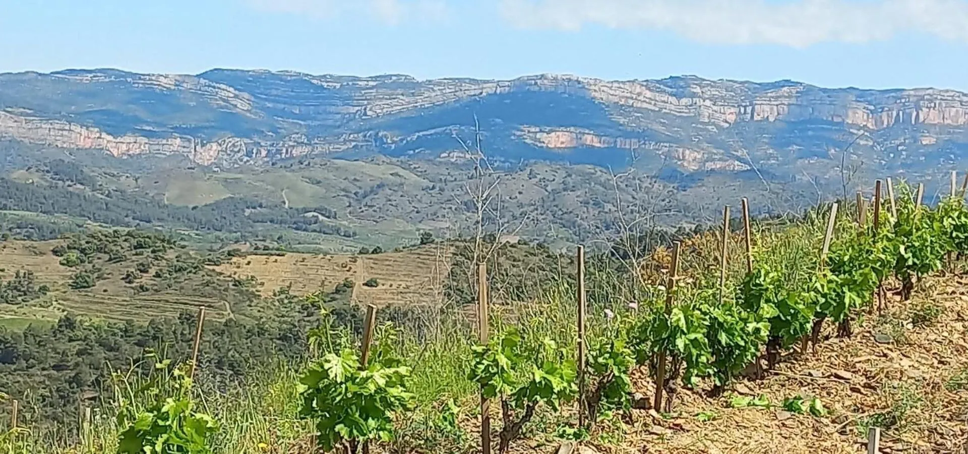 La Caseta Del Piro Gratallops