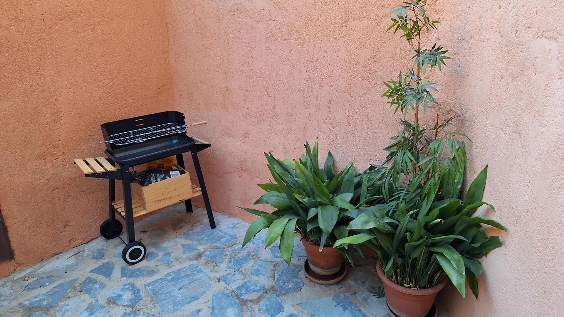La Caseta Del Piro Gratallops Holiday home